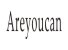Ningbo Areyoucan Kitchenware Co., Ltd. logo