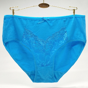 Culotte Sexy Transparente en Dentelle de Coton Grande Taille pour Femme - Product Image 4