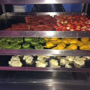 Déshydrateur de congélation sous vide, semi-conducteur - Product Image 5