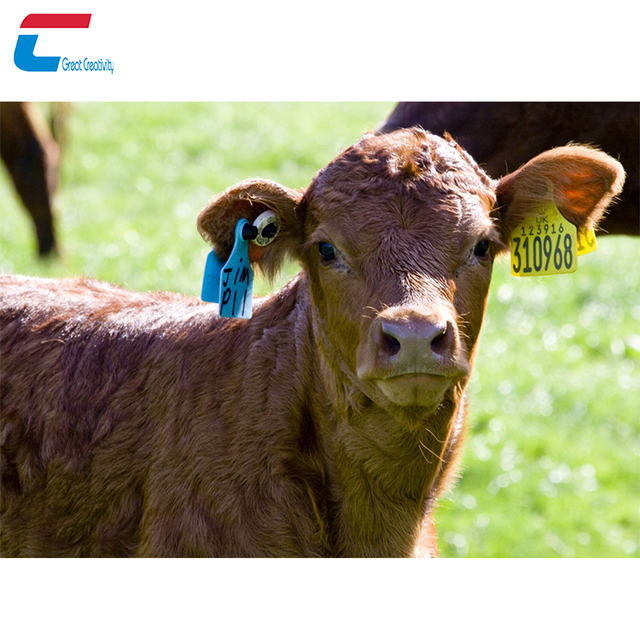 RFID Uhf Animal Ear Tag for Cattle