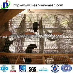 breeding cages, la alimentacion de la jaula