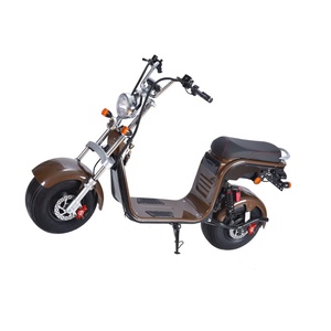 Livraison Gratuite Cyclomoteur Électrique Livraison Rapide à La Lituanie Citycoco Scooter CEE Adulte Moto Batterie Amovible 1500 W 20Ah - Product Image 3