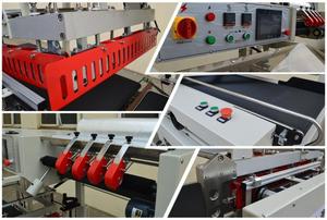 Tự động Phanh Pad/Giày Phanh Shrink Máy Đóng Gói - Product Image 4