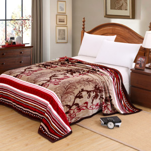 <span class=keywords><strong>Flannel</strong></span> lông cừu chăn in 220x240 cm bán sỉ xuất tại Trung Quốc - Product Image 2