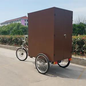 ESTER Cargo Tricycle Bán Hàng, Động Cơ Phía Sau 500W, Đường Không Thấm Nước, Yêu Cầu Của Khách Hàng