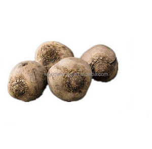 Bán Chạy! Bột Kẹo Cao Su Konjac Chất Xơ Cao Bột Thạch Konnyaku Bột Konjac Glucomannan Với <span class=keywords><strong>Brc</strong></span>/Haccp/<span class=keywords><strong>Kosher</strong></span>/Ifs - Product Image 3