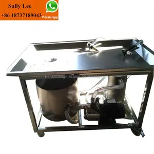 Inyector de líquido salino, máquina de inyección de agua de salinidad, salvia, pollo