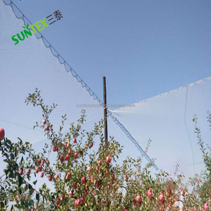 Orchard planta Red contra el granizo nieve Ave barrera de protección neto de malla de calidad de luz blanca anti Red de granizo - Product Image 6