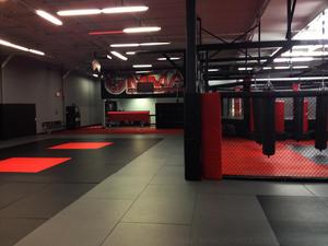 एमएमए मुक्केबाजी के लिए पिंजरे दीवार पैनल अलग करने के लिए गतिविधि - Product Image 4