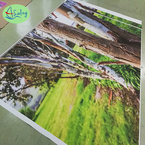 Không có khung máy in phun in ấn không thấm nước kỹ thuật số in ấn nghệ thuật ảnh vải Áp phích - Product Image 5