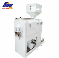 Polisseuse à eau automatique, électrique, pour le riz, liquide soyeux, machine de polissage, g