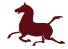 Xiamen Eastern Pegasus Co., Ltd. logo