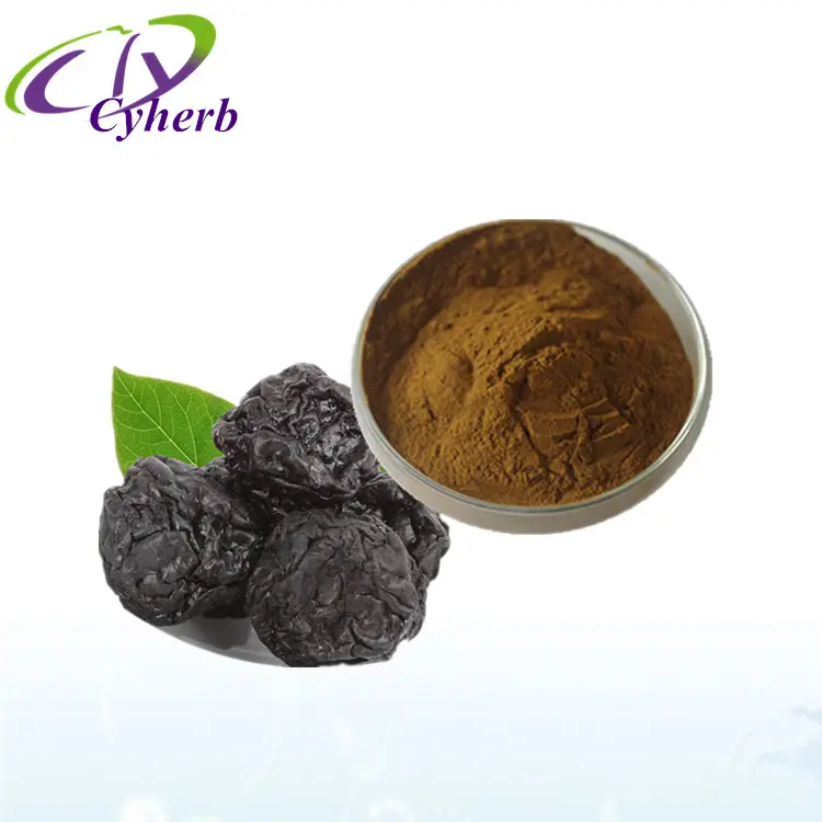 Best selling Pure black plum extract/Jamun seed Extract/frctus mume extract 5:1,10:1,20:1 for beverage raw material