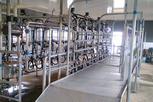 <span class=keywords><strong>Prix</strong></span> bon marché CIP Chèvres Machine à traire Salon - Product Image 4