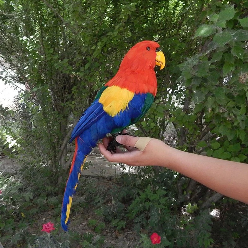 amber white auto parrot