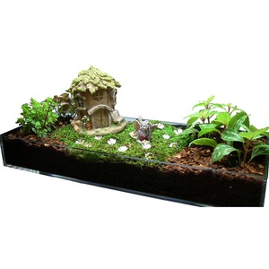 Nuovo vassoio per vasi da fiori trasparente personalizzato vassoio per fioriera a goccia in acrilico per giardini di erbe - Product Image 3