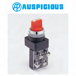 Interruptor Selector Tipo Perilla de 25 mm, 30 mm, 2 o 3 Posiciones (SS-25/30) - Product Image 4