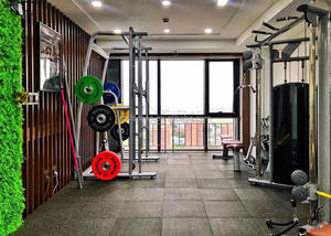 <span class=keywords><strong>Vendita</strong></span> calda attrezzature da <span class=keywords><strong>palestra</strong></span> smith macchina <span class=keywords><strong>palestra</strong></span> di peso cremagliera di sollevamento smith trainer macchina - Product Image 6