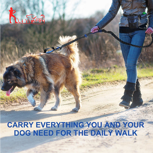 Premium manos libres running plomo doble amortiguadores auxiliares con cinturón, entrenamiento, bolsa manos Libres conjunto correa de perro para caminar senderismo - Product Image 6