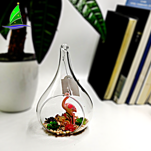 <span class=keywords><strong>Terrarium</strong></span> de verre transparent soufflé à la main, Vase de planteur en verre soufflé, pour décoration de maison - Product Image 4