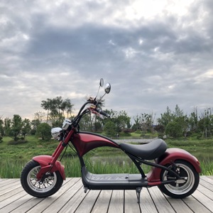 Entrepôt européen, meilleures ventes <span class=keywords><strong>Alibaba</strong></span>, produits électroniques chinois en gros, vélo électrique 1000w - Product Image 3