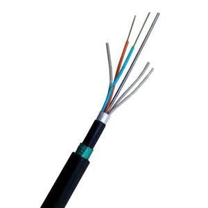 <span class=keywords><strong>สาย</strong></span><span class=keywords><strong>ไฟเบอร์</strong></span>ออปติก 36 core direct buried dual หุ้มเกราะสาย<span class=keywords><strong>ไฟเบอร์</strong></span>ออปติคอล<span class=keywords><strong>ราคา</strong></span>ต่อเมตร GYTA53 - Product Image 3