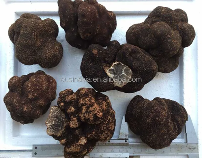 fresh truffle sell truffle