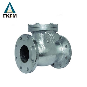 Bán Van Kiểm Tra Không Quay Trở Lại Mặt Bích Xoay Api Ss316 Cf8m Cho Hơi Nước <span class=keywords><strong>10</strong></span> Inch - Product Image 2