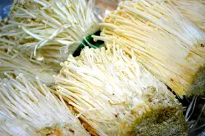 Detan Great Quality Chinese Exported Factory Cultivated Growing Exotic Fresh Enokitake Fresh Enoki Mushroom