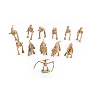 ZF235 Wholesale 2020 new toy arrivals cheap pvc plastic dinosaur skeleton toy sets educational toys for babys