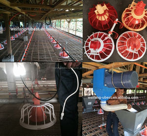 Responsable de la instalación de equipos de granja de animales para pollos de engorde y <span class=keywords><strong>gallinas</strong></span> - Product Image 2