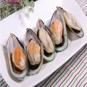bestqualityfrozenmussel