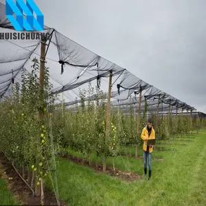 Red agrícola antigranizo para apple, HDPE, resistente a los rayos UV, 100%