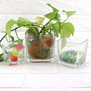 Crystal Clear Glas Bloem Groene Plant Pot 500 Ml 1L 1.5L Grote Fiber Aquarium Aquarium - Product Image 4