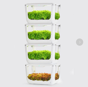 Vertical farm indoor grow box for vegetables Hydroponic Sprout Growing Systems