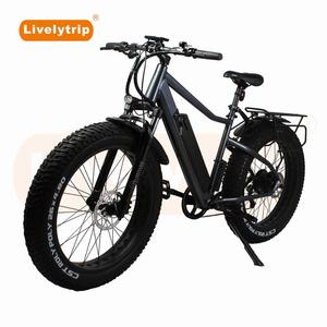 Versatile Fat Bike With Varying 