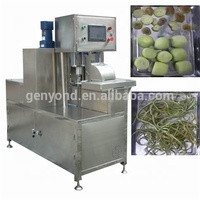 Usine Genyond automatique éplucheur de fruits équipement agrumes orange citron épluchage machine utilisée pour industriel