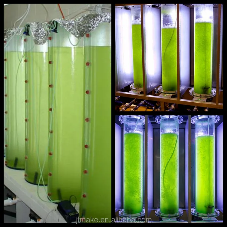 Tubo de plástico transparente para biorreactor de algas, precio de fábrica