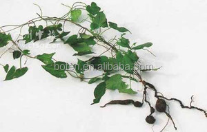 Порошок корня клубня флисового с Fo Ti/Heshouwu - Product Image 3