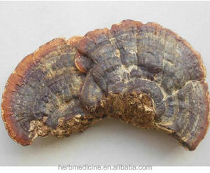 Thé aux champignons entiers séchés, Ganoderma Resinaceum Boud sauvage, aliment santé - Product Image 2