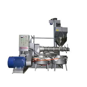 6yl160 300kg Peanut Soybean Oil Presser Cold Oil Expeller Extractor Cold & Hot Pressing Machine for Linseed Oil Factory Price