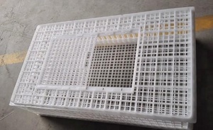 Taşıma kafesi plastik tavuk taşıma kafesi/sandık/coop için 960*560*270mm tavuk kafesi - Product Image 4