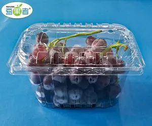 High quality 500g transparent plastic PET grape fruit packaging clamshells