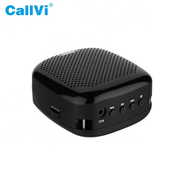 BT 5.0 Audio Speaker Portable Mini Wireless MP3 Player Voice Amplifier