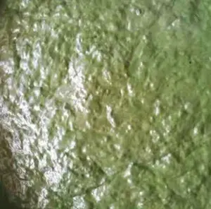 Green color Liquid polishing wax for stainless steel mirror surface polishing