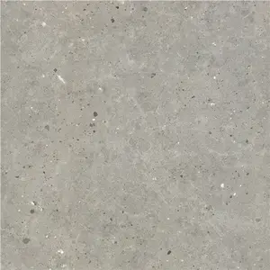 anti slip Matte finish porcelain ceramic wall and floor tiles price