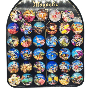 Bonito tablero blanco de estrellas de mar imán para nevera Imanes para refrigerador de vidrio - Product Image 2