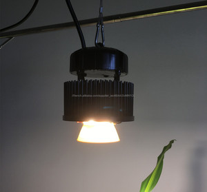 Kingbrite 600 w <span class=keywords><strong>cree</strong></span> cxb3590 cob led élèvent la lumière kit - Product Image 5