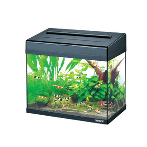 Moda mini tanque de peces de acuario Jeneca con iluminación LED - Product Image 1