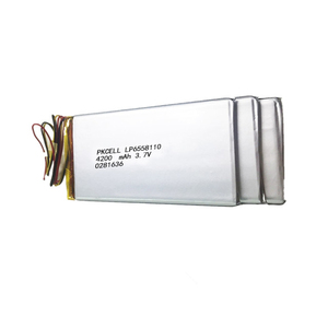 Baterai Li-po PKCELL 3.7v 6558110 4200mah Sel Lithium Polymer Isi Ulang untuk DVD Portabel - Product Image 2